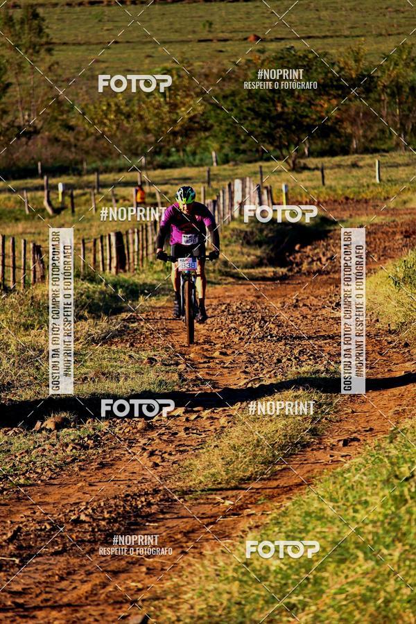 Buy your photos of the eventWolf Series - Botucatu on Fotop