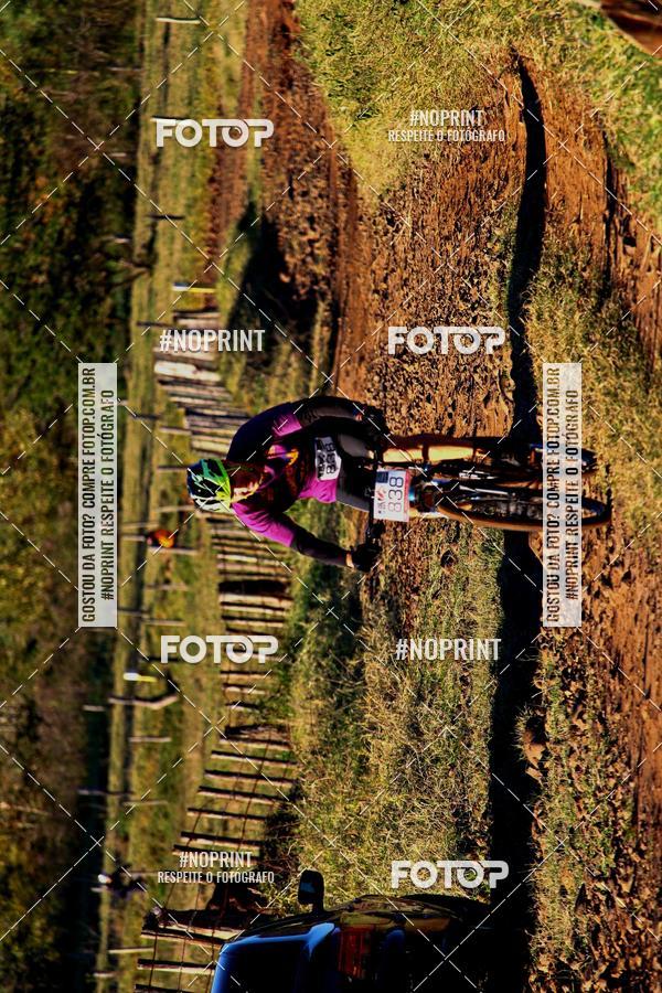 Buy your photos of the eventWolf Series - Botucatu on Fotop