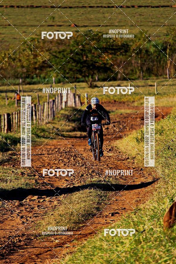 Buy your photos of the eventWolf Series - Botucatu on Fotop