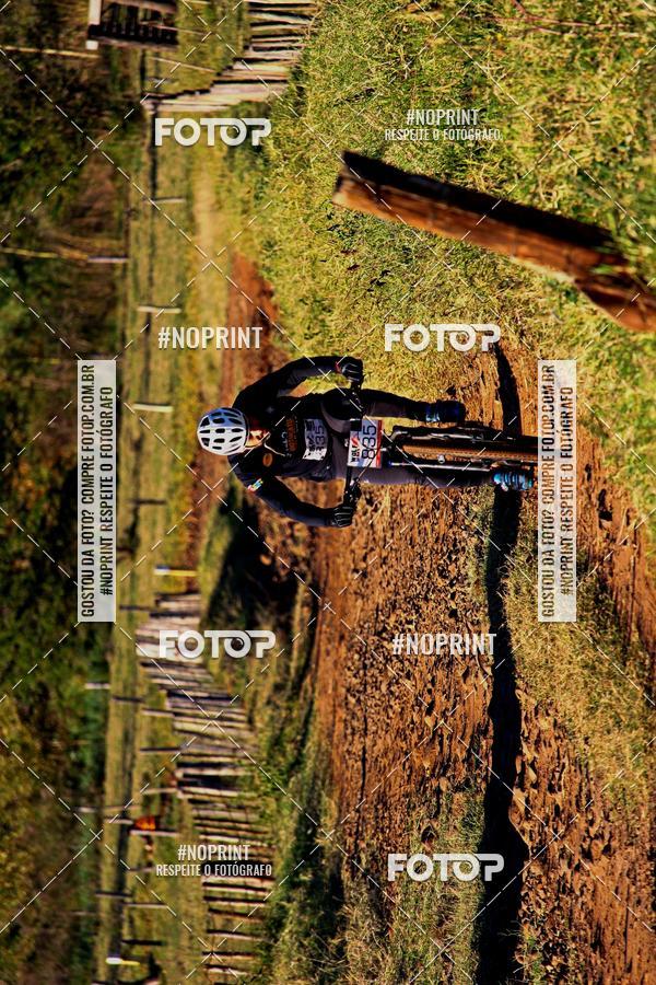 Buy your photos of the eventWolf Series - Botucatu on Fotop