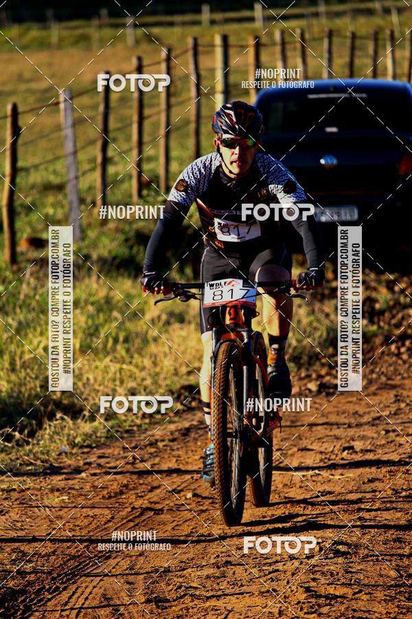 Buy your photos of the eventWolf Series - Botucatu on Fotop