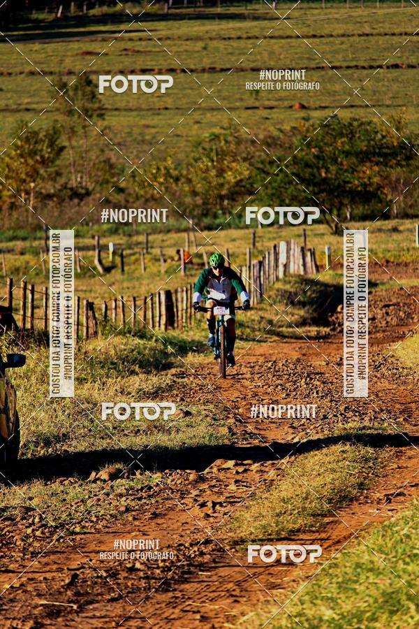 Buy your photos of the eventWolf Series - Botucatu on Fotop