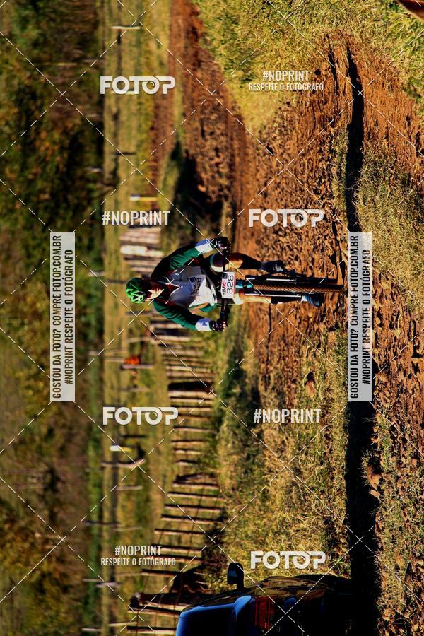 Buy your photos of the eventWolf Series - Botucatu on Fotop