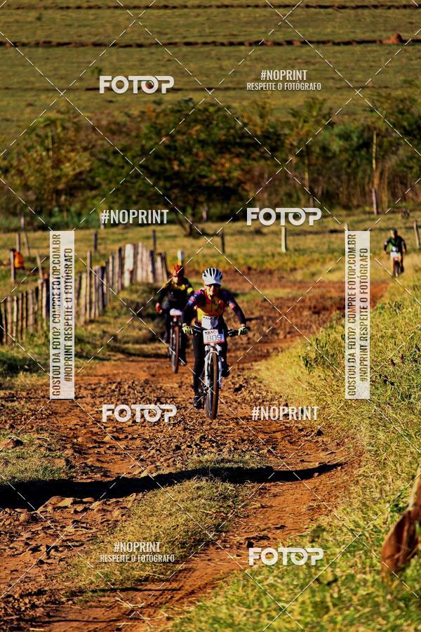 Buy your photos of the eventWolf Series - Botucatu on Fotop