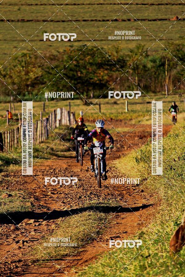 Buy your photos of the eventWolf Series - Botucatu on Fotop