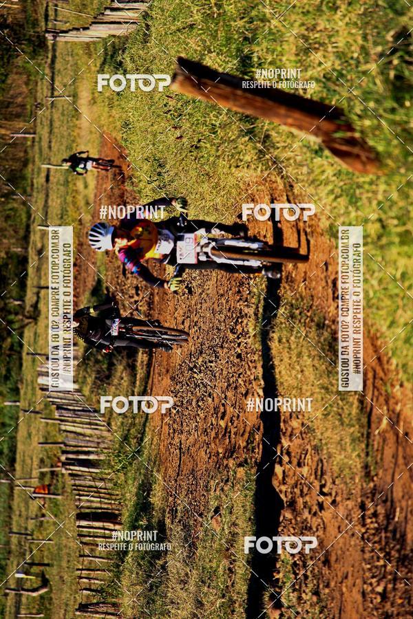 Buy your photos of the eventWolf Series - Botucatu on Fotop