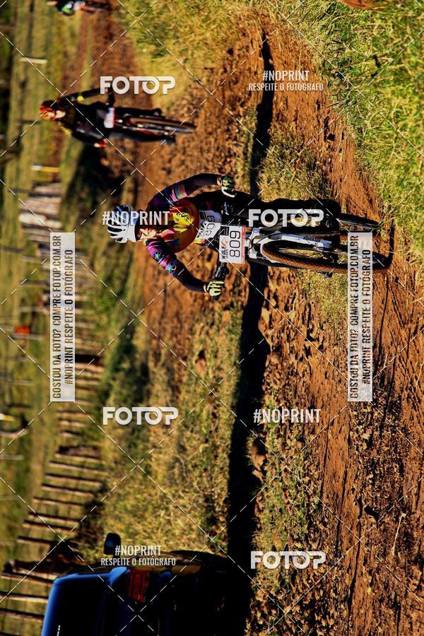 Buy your photos of the eventWolf Series - Botucatu on Fotop