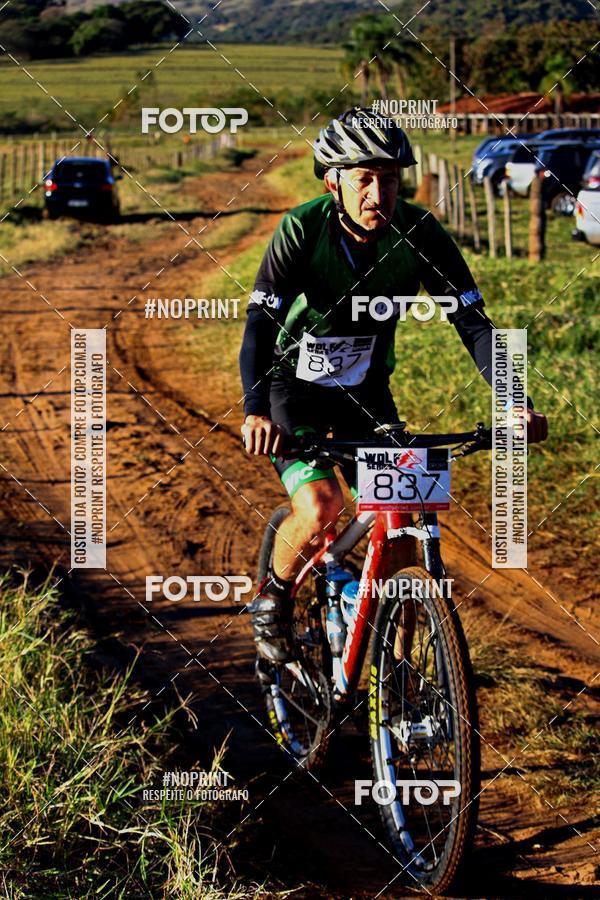 Buy your photos of the eventWolf Series - Botucatu on Fotop