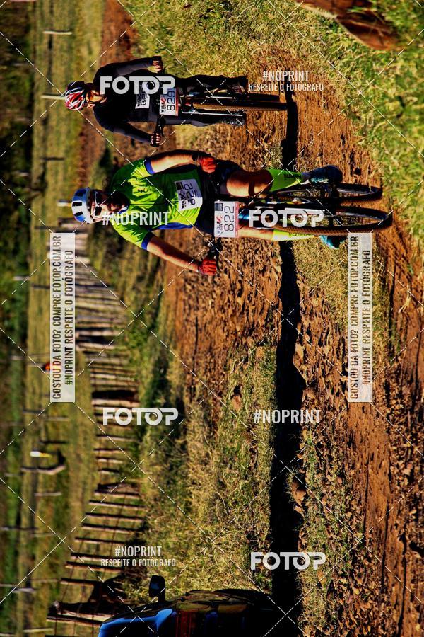 Buy your photos of the eventWolf Series - Botucatu on Fotop