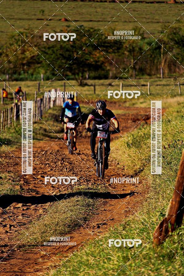 Buy your photos of the eventWolf Series - Botucatu on Fotop