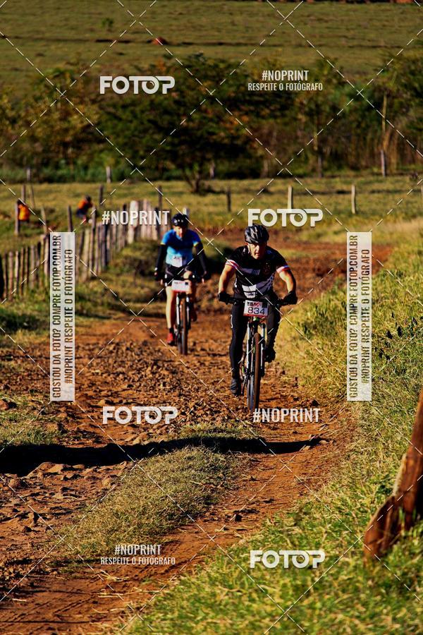 Buy your photos of the eventWolf Series - Botucatu on Fotop