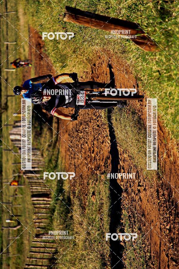 Buy your photos of the eventWolf Series - Botucatu on Fotop