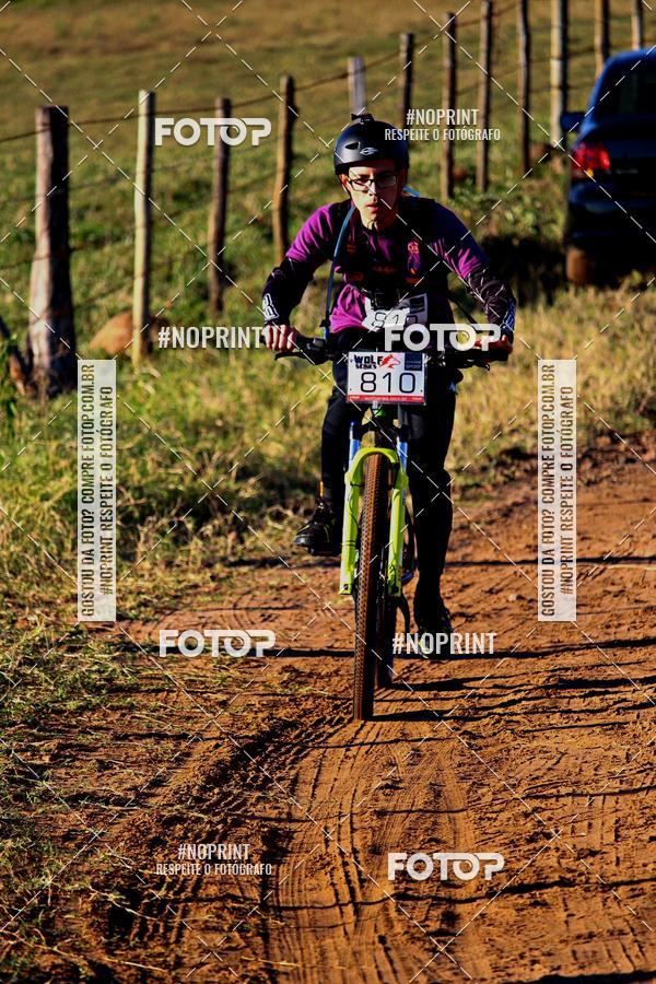 Buy your photos of the eventWolf Series - Botucatu on Fotop