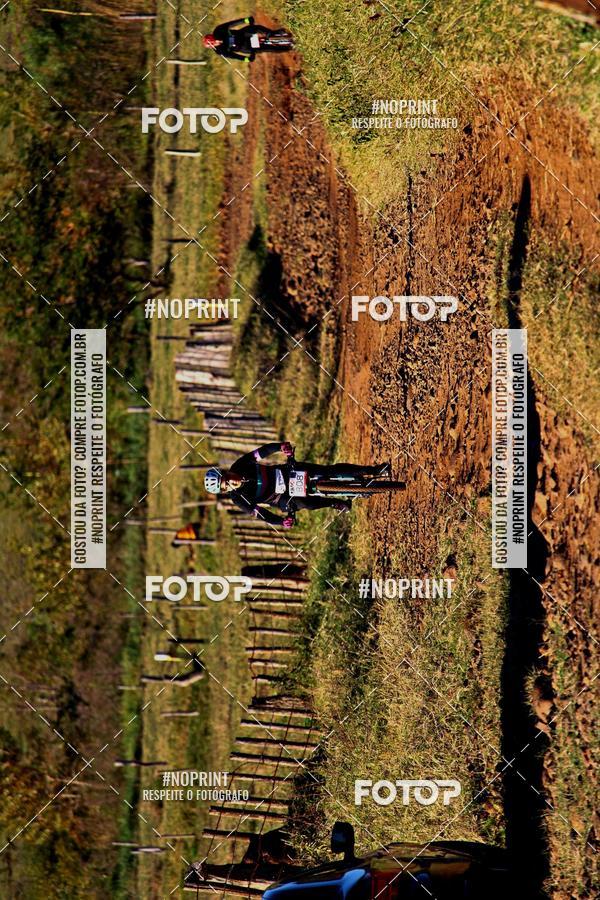 Buy your photos of the eventWolf Series - Botucatu on Fotop