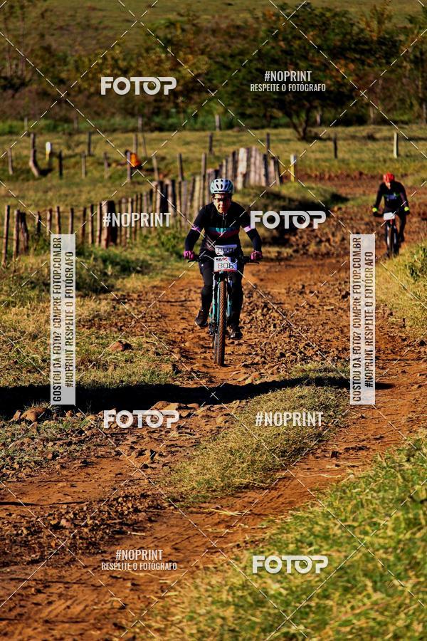 Buy your photos of the eventWolf Series - Botucatu on Fotop