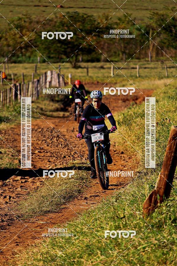 Buy your photos of the eventWolf Series - Botucatu on Fotop