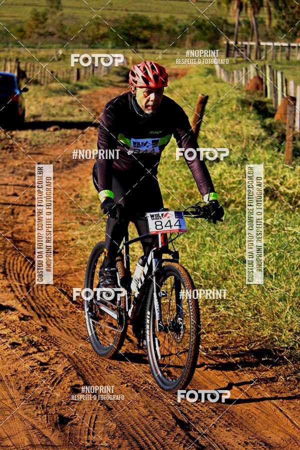 Buy your photos of the eventWolf Series - Botucatu on Fotop