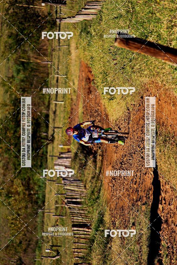 Buy your photos of the eventWolf Series - Botucatu on Fotop