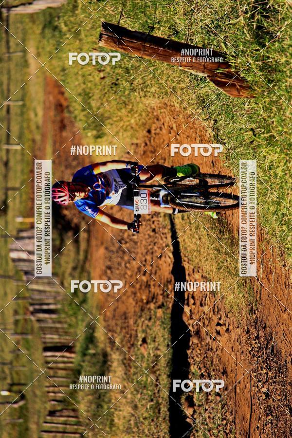 Buy your photos of the eventWolf Series - Botucatu on Fotop