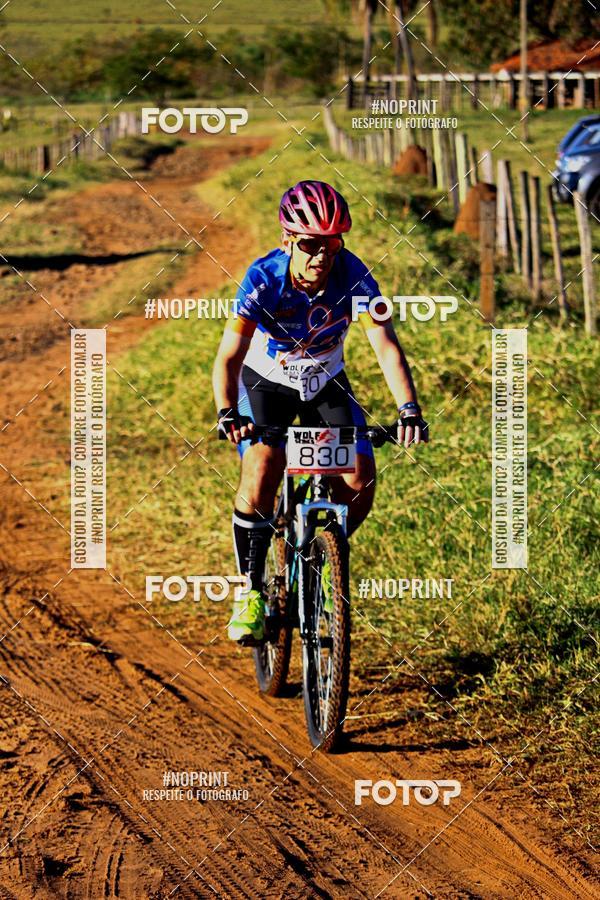 Buy your photos of the eventWolf Series - Botucatu on Fotop