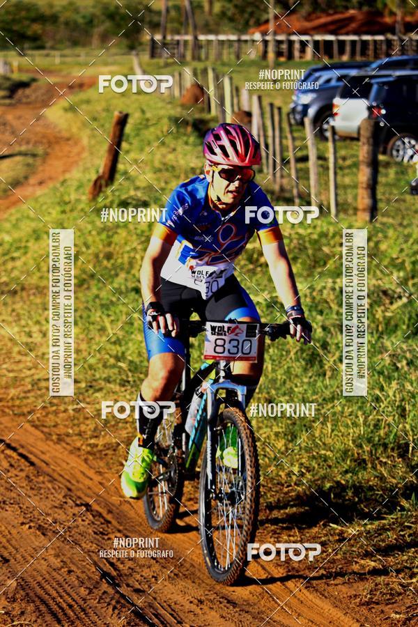 Buy your photos of the eventWolf Series - Botucatu on Fotop