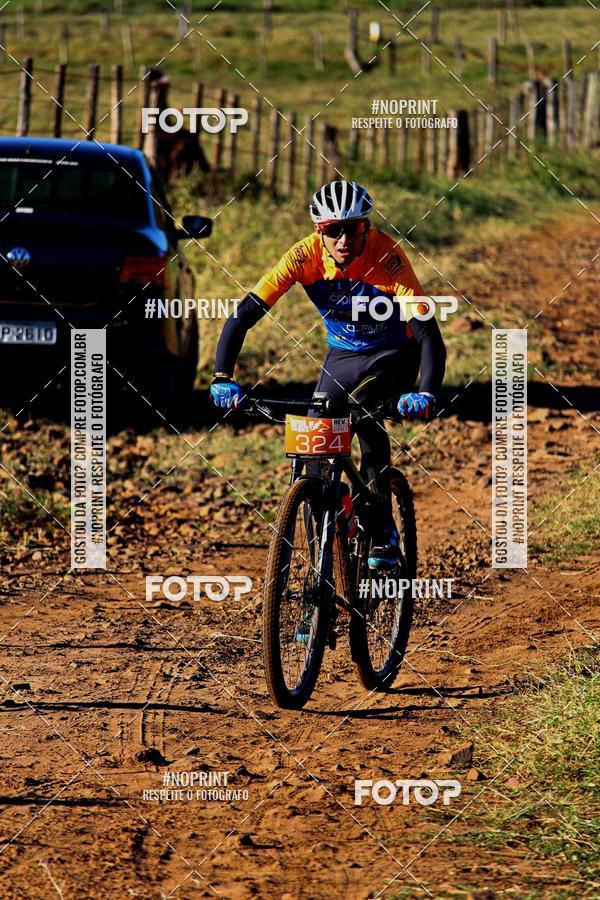 Buy your photos of the eventWolf Series - Botucatu on Fotop