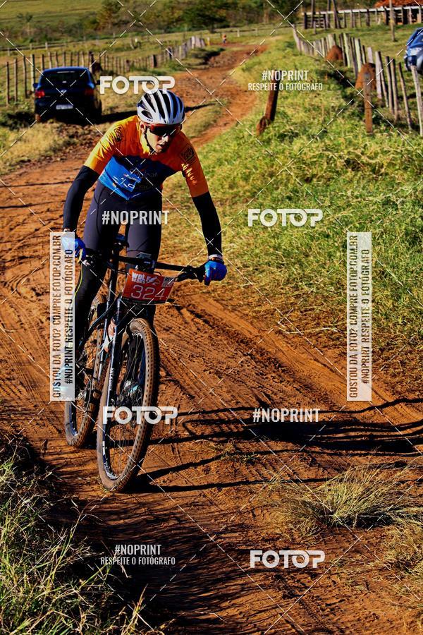 Buy your photos of the eventWolf Series - Botucatu on Fotop