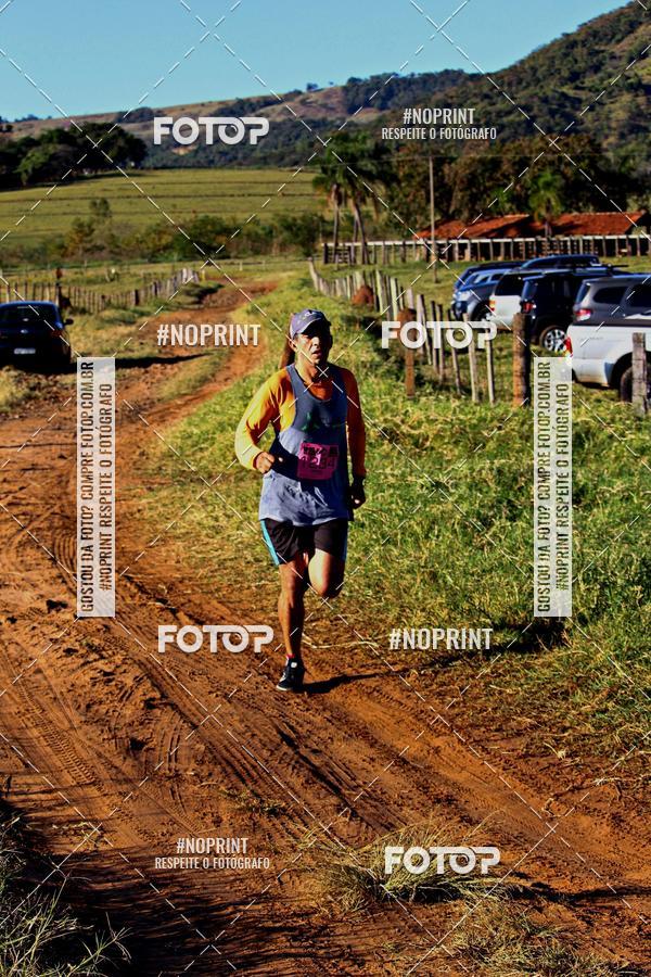 Achetez vos photos de l'vnementWolf Series - Botucatu sur Fotop