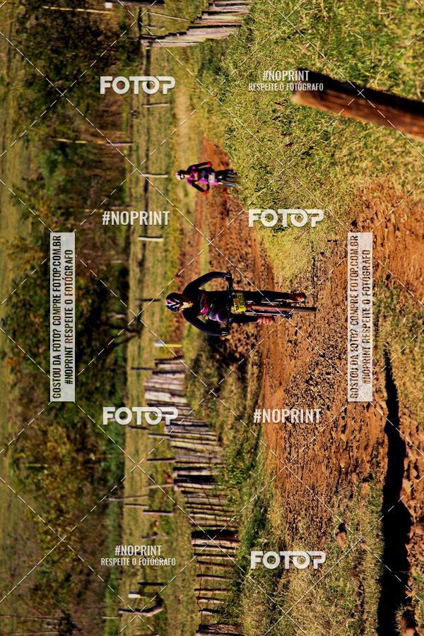 Achetez vos photos de l'vnementWolf Series - Botucatu sur Fotop