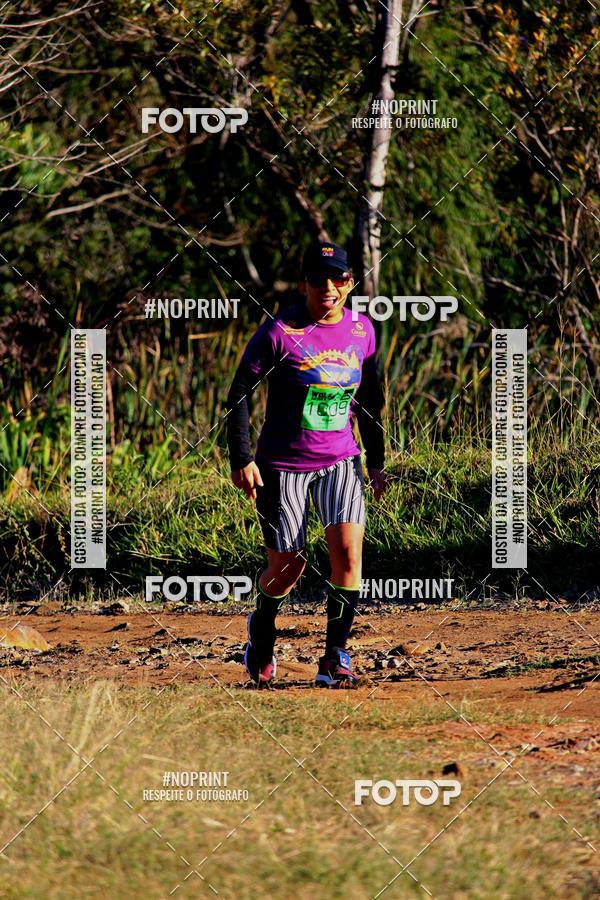 Achetez vos photos de l'vnementWolf Series - Botucatu sur Fotop