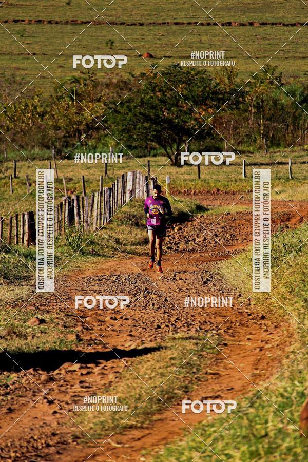 Buy your photos of the eventWolf Series - Botucatu on Fotop