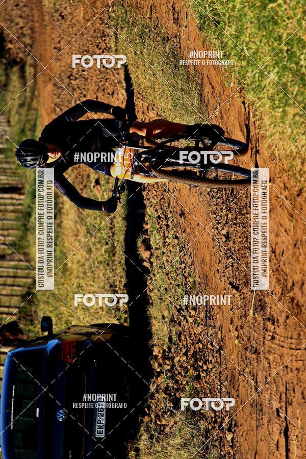 Buy your photos of the eventWolf Series - Botucatu on Fotop