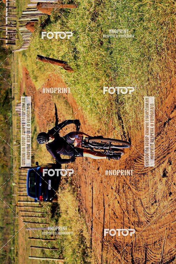 Buy your photos of the eventWolf Series - Botucatu on Fotop