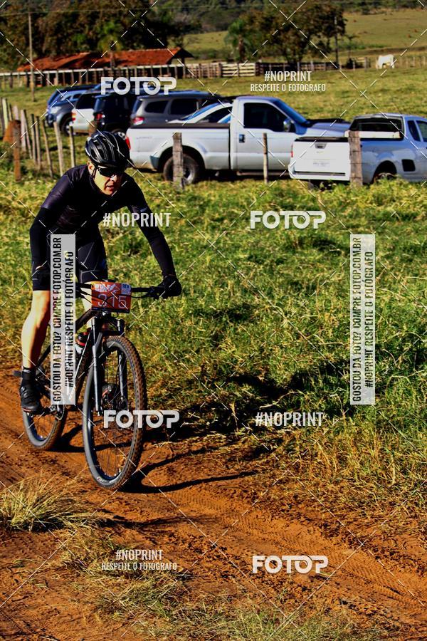 Buy your photos of the eventWolf Series - Botucatu on Fotop