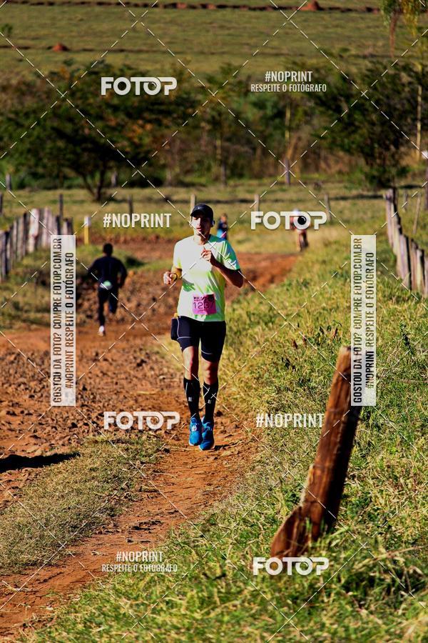 Buy your photos of the eventWolf Series - Botucatu on Fotop