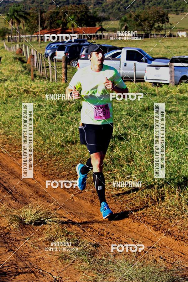 Buy your photos of the eventWolf Series - Botucatu on Fotop