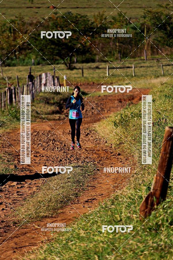 Buy your photos of the eventWolf Series - Botucatu on Fotop