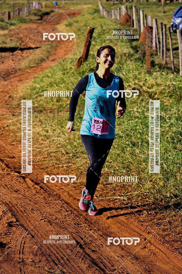 Buy your photos of the eventWolf Series - Botucatu on Fotop