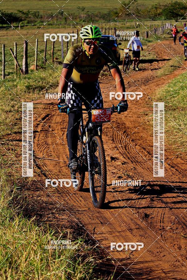 Buy your photos of the eventWolf Series - Botucatu on Fotop