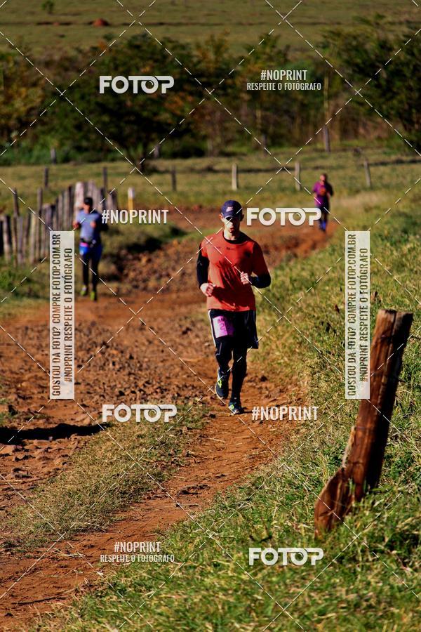 Buy your photos of the eventWolf Series - Botucatu on Fotop