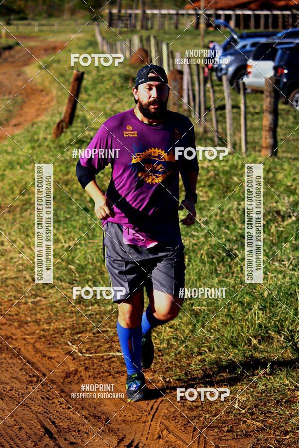 Buy your photos of the eventWolf Series - Botucatu on Fotop