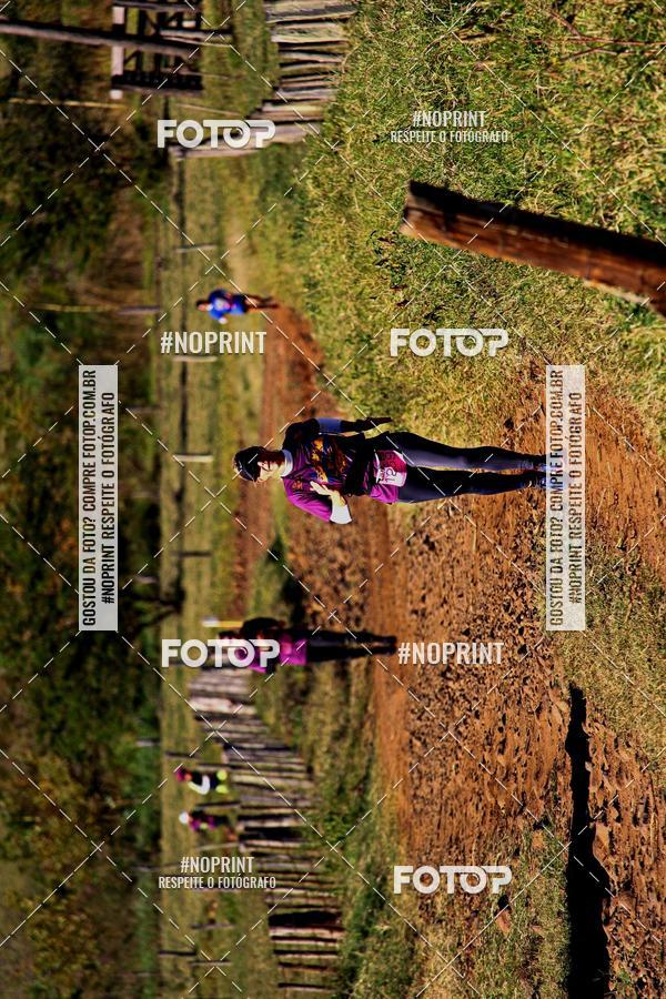 Buy your photos of the eventWolf Series - Botucatu on Fotop