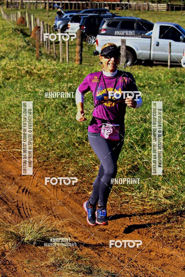 Buy your photos of the eventWolf Series - Botucatu on Fotop