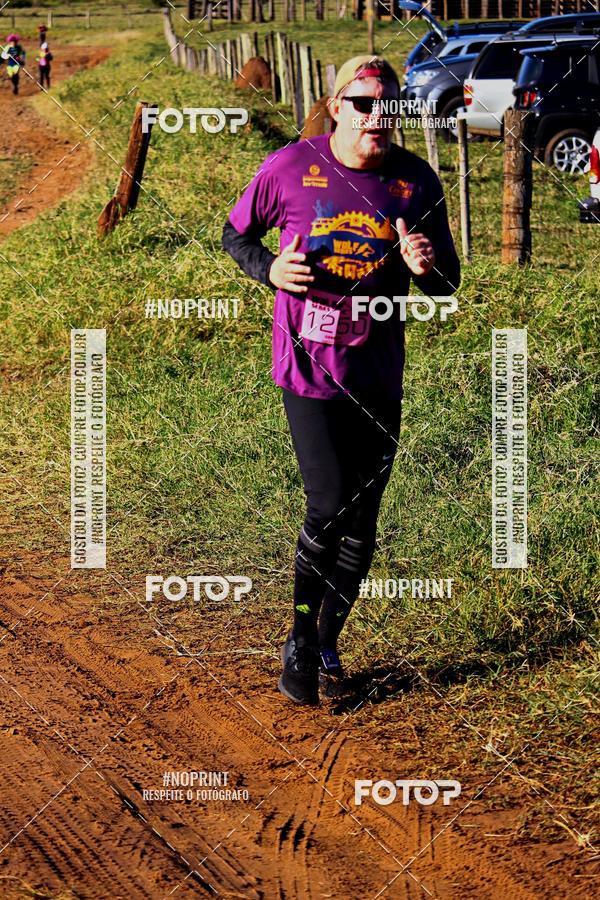 Buy your photos of the eventWolf Series - Botucatu on Fotop