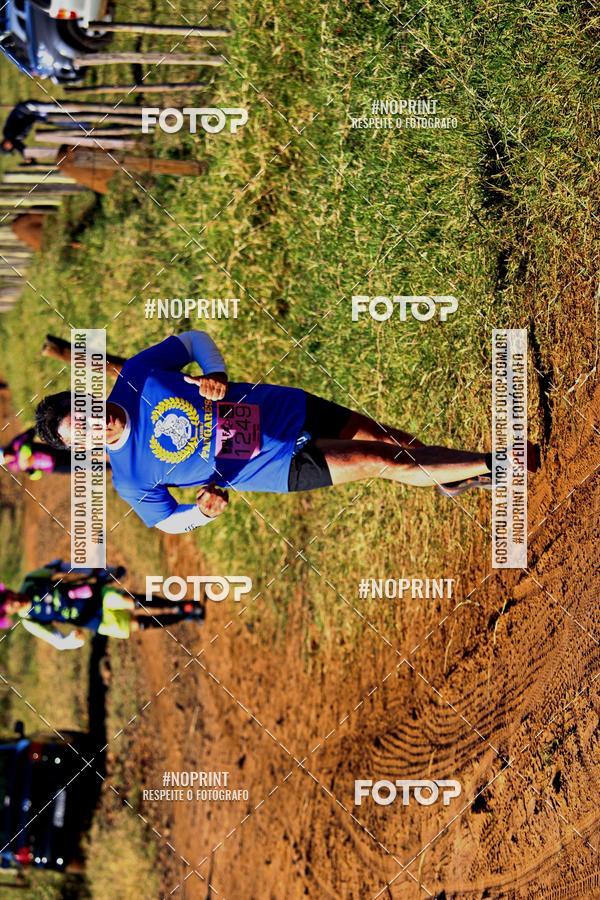 Buy your photos of the eventWolf Series - Botucatu on Fotop