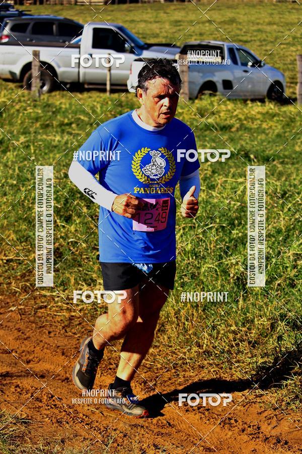 Buy your photos of the eventWolf Series - Botucatu on Fotop