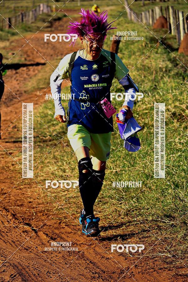 Buy your photos of the eventWolf Series - Botucatu on Fotop