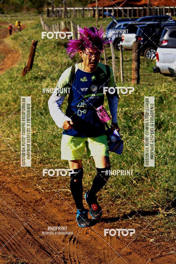 Buy your photos of the eventWolf Series - Botucatu on Fotop