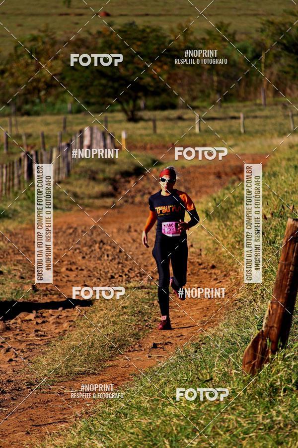 Buy your photos of the eventWolf Series - Botucatu on Fotop