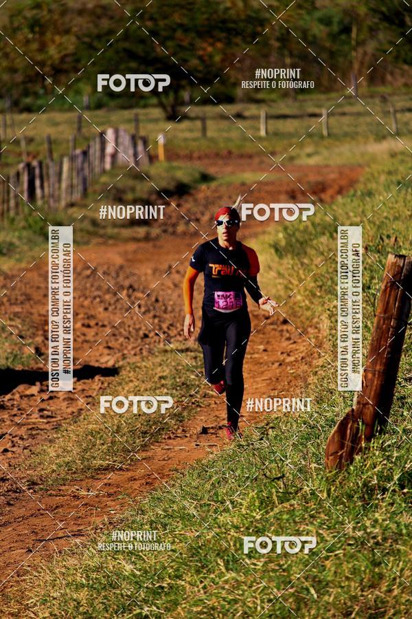 Buy your photos of the eventWolf Series - Botucatu on Fotop